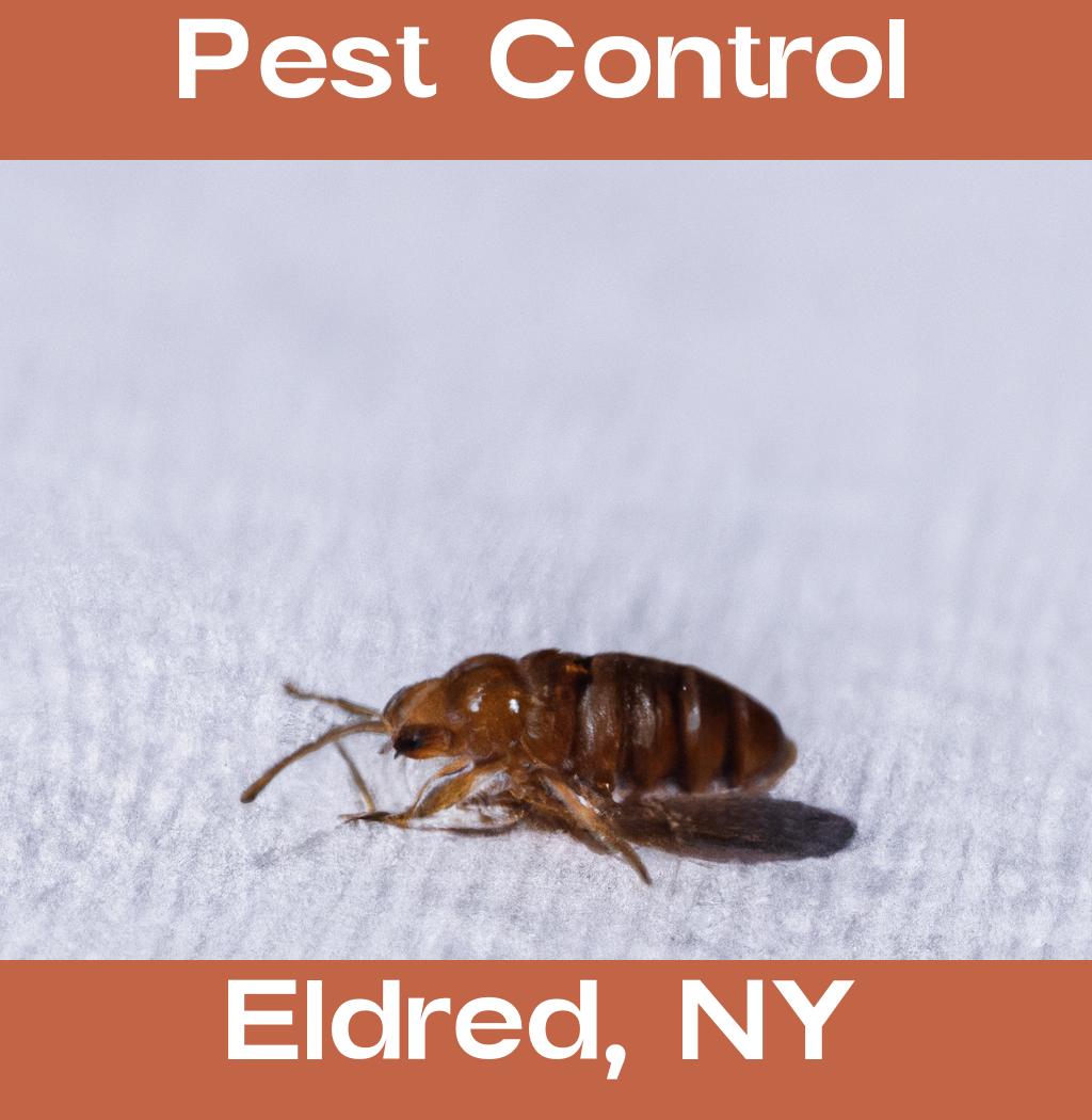 pest control in Eldred New York