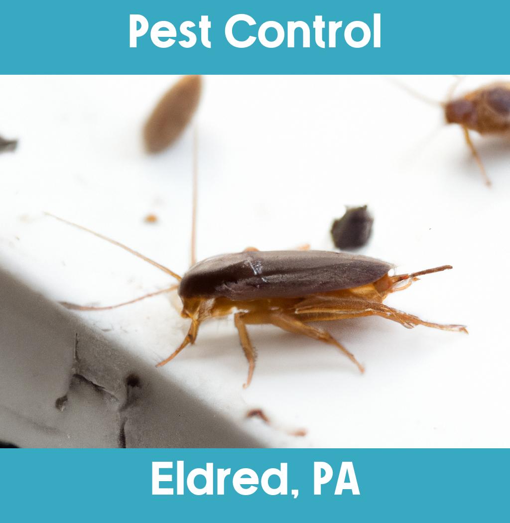 pest control in Eldred Pennsylvania