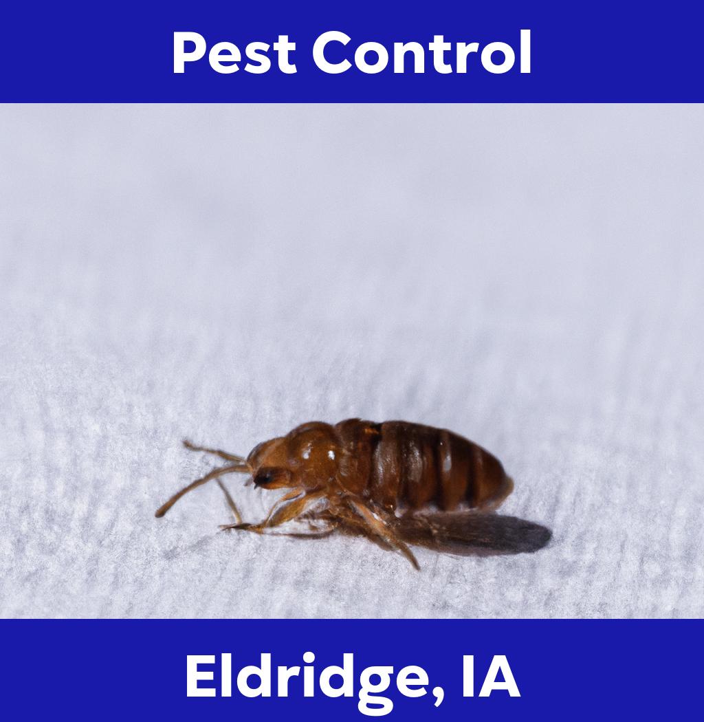 pest control in Eldridge Iowa