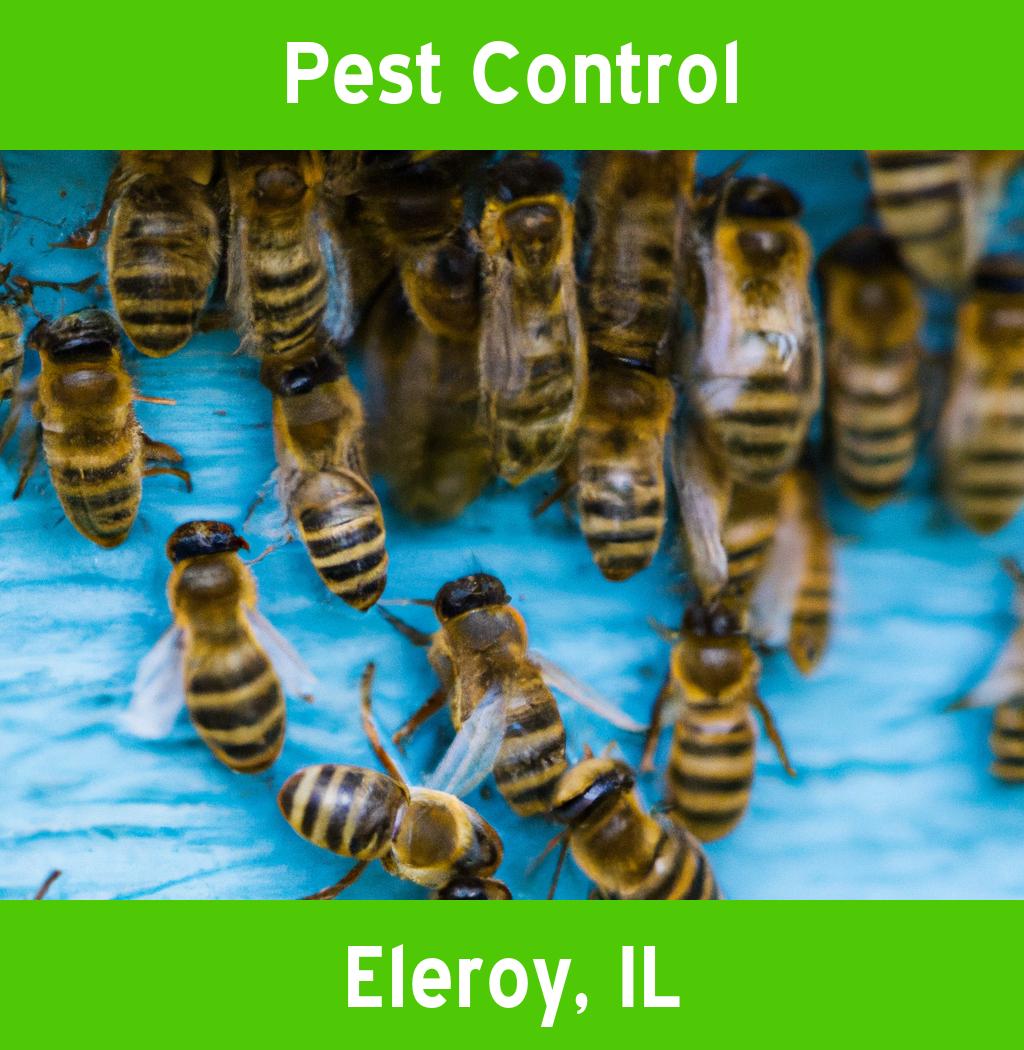 pest control in Eleroy Illinois