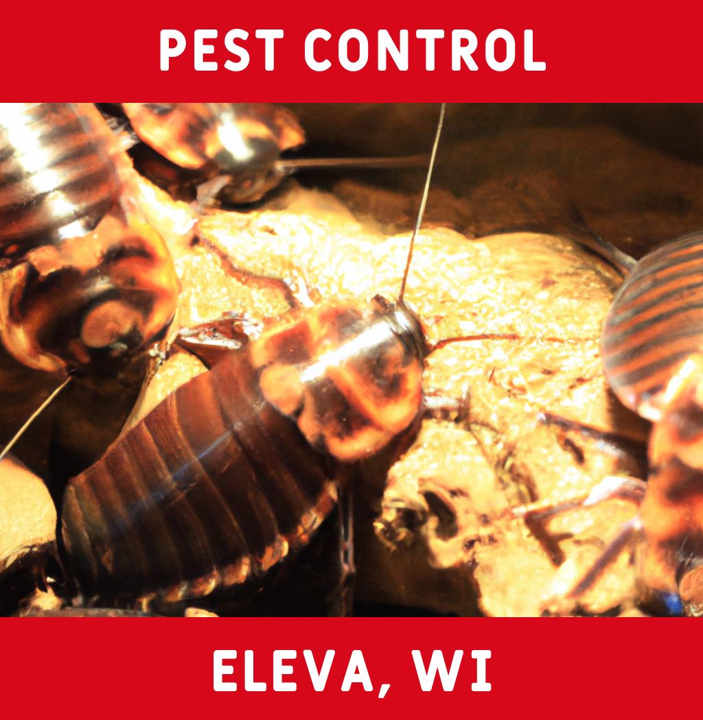 pest control in Eleva Wisconsin
