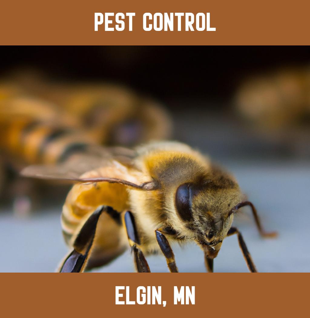 pest control in Elgin Minnesota