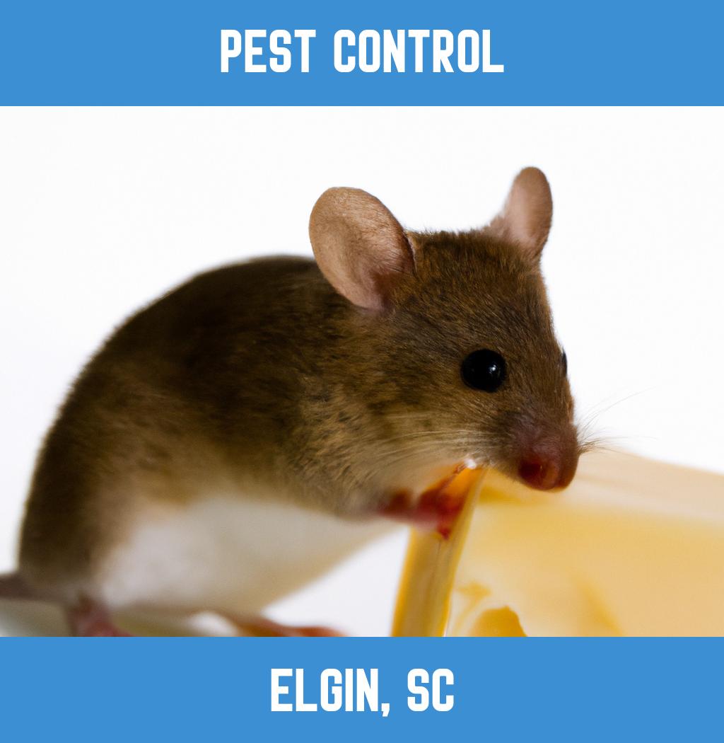 pest control in Elgin South Carolina