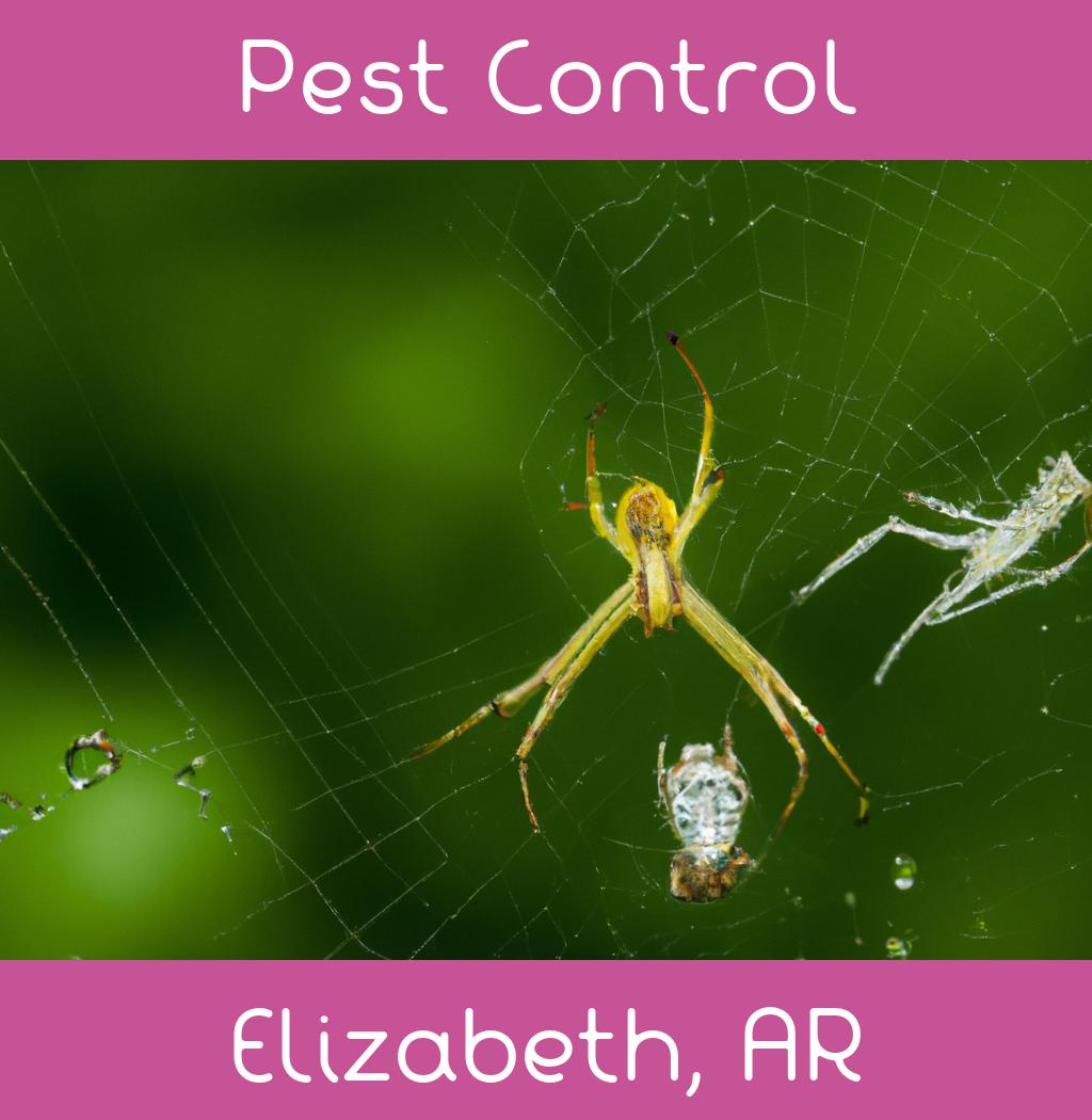 pest control in Elizabeth Arkansas
