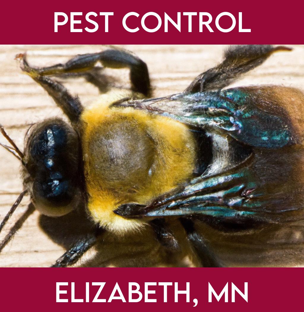 pest control in Elizabeth Minnesota