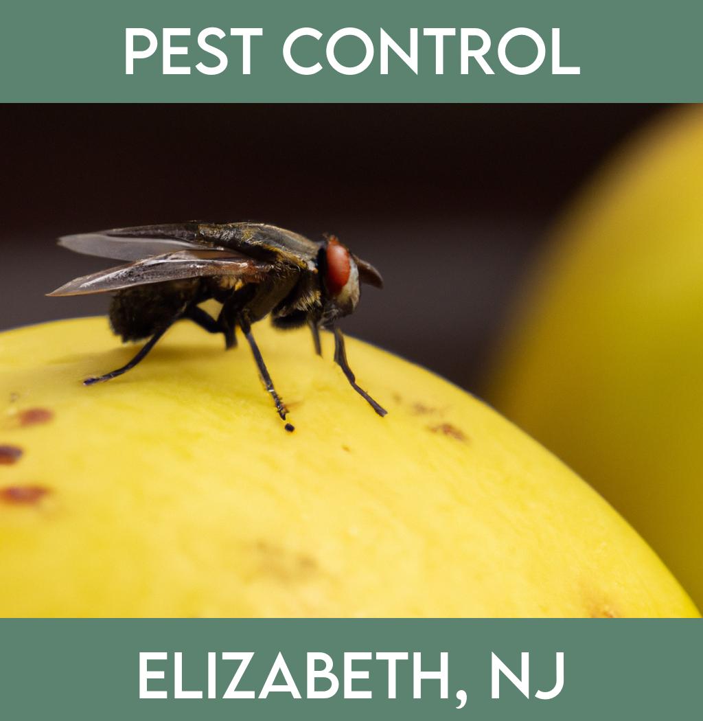 pest control in Elizabeth New Jersey