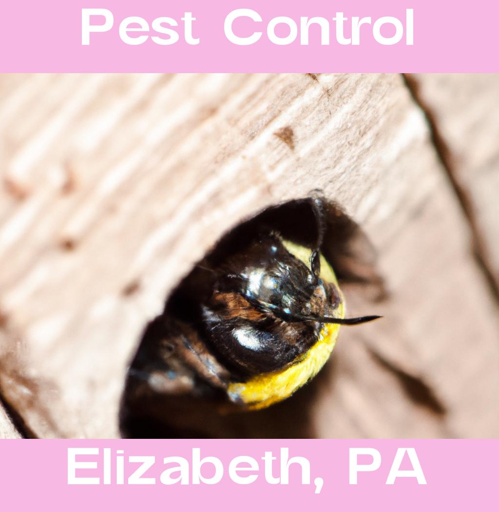pest control in Elizabeth Pennsylvania