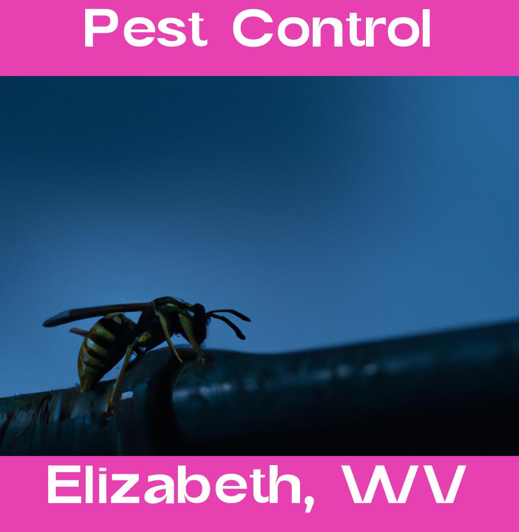 pest control in Elizabeth West Virginia
