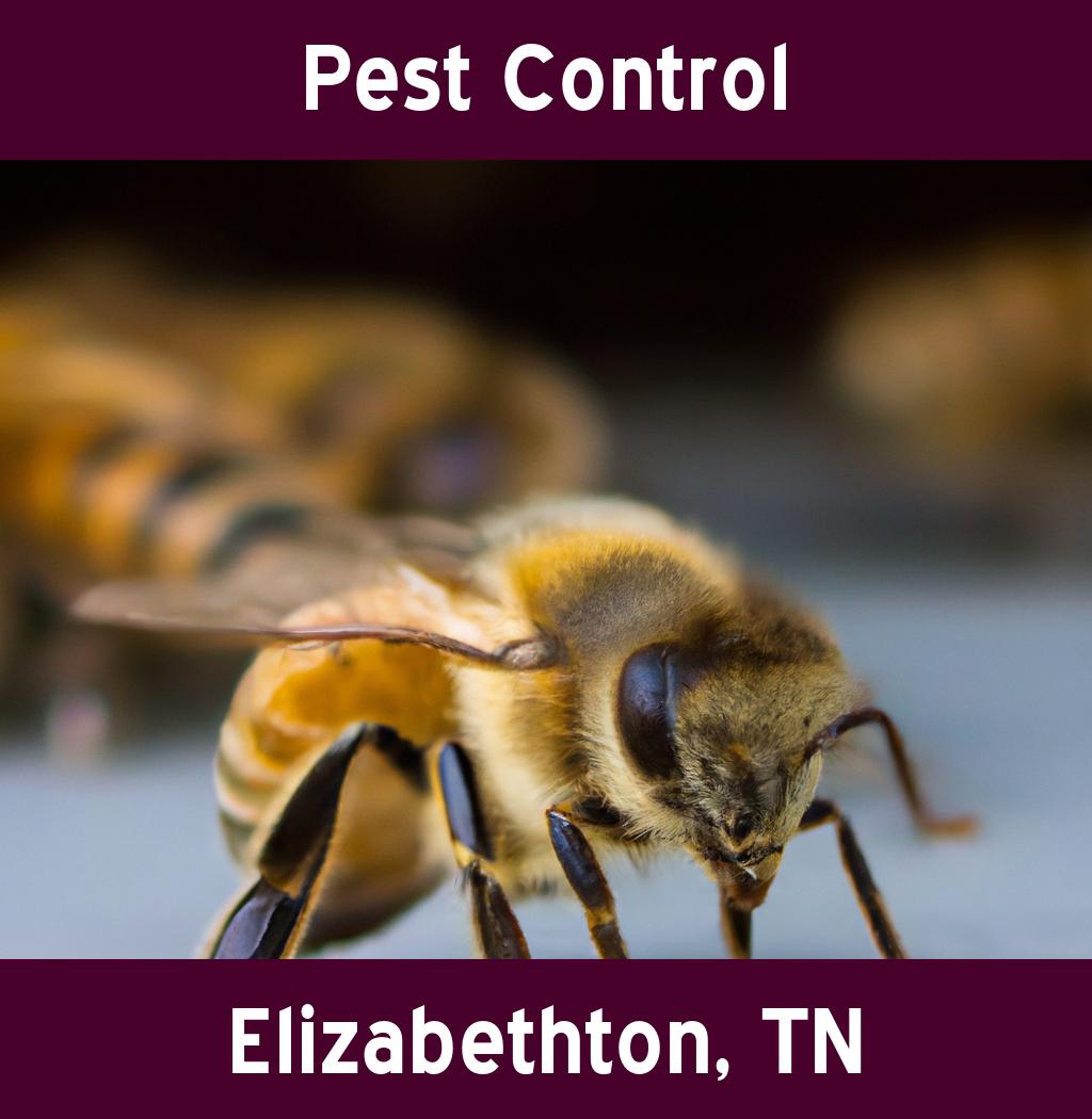 pest control in Elizabethton Tennessee