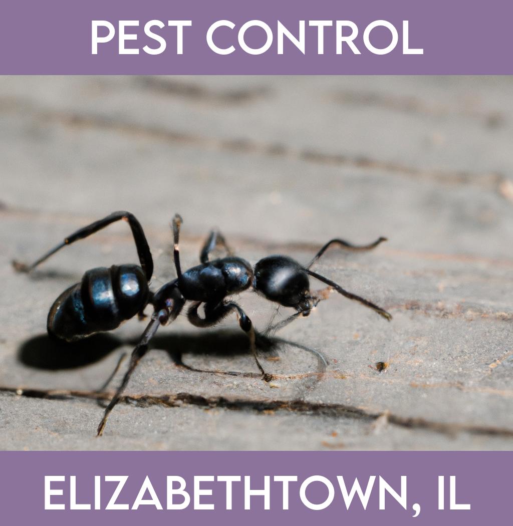 pest control in Elizabethtown Illinois