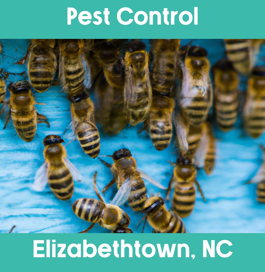 pest control in Elizabethtown North Carolina