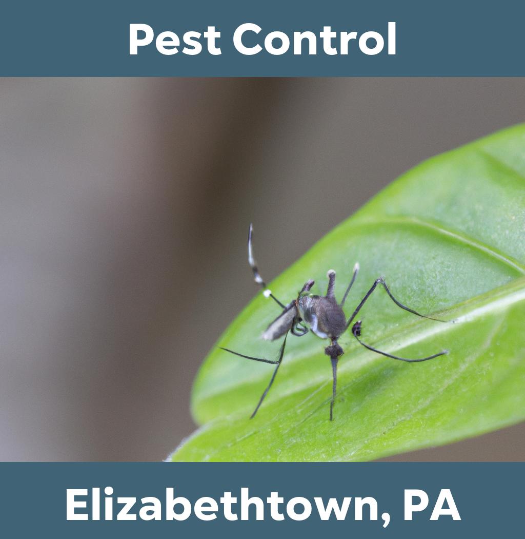 pest control in Elizabethtown Pennsylvania