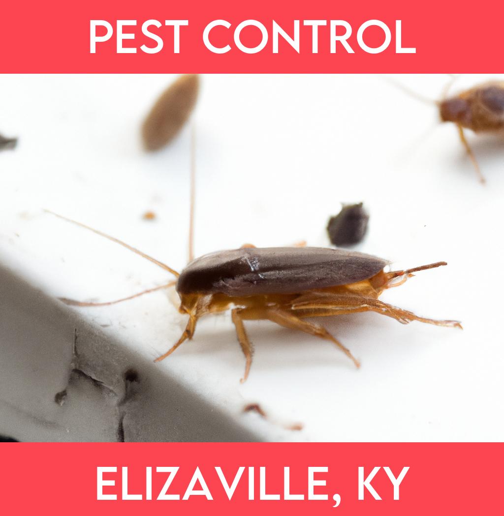 pest control in Elizaville Kentucky