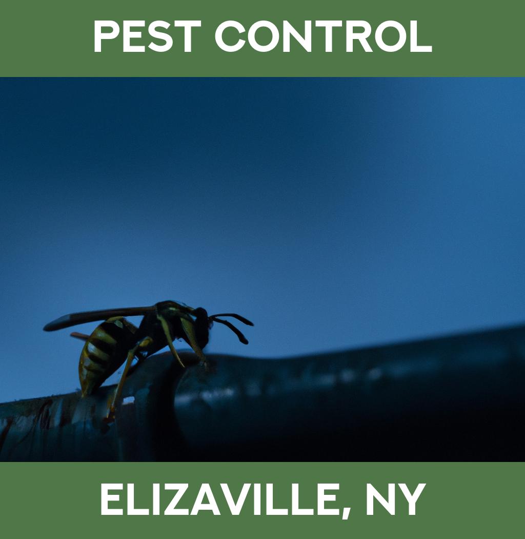 pest control in Elizaville New York