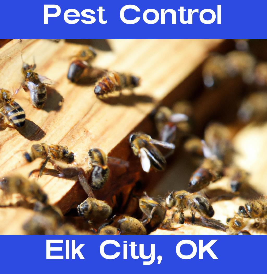 pest control in Elk City Oklahoma