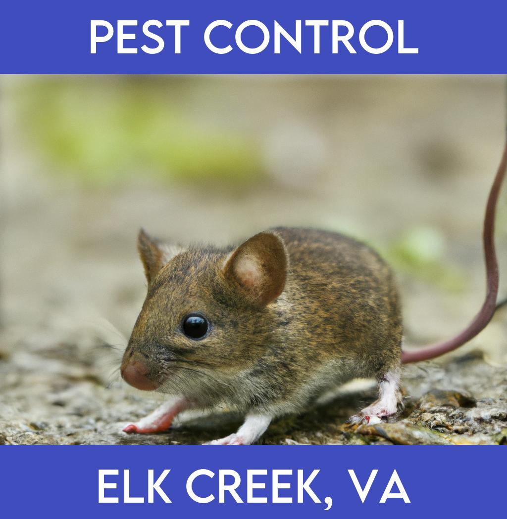pest control in Elk Creek Virginia