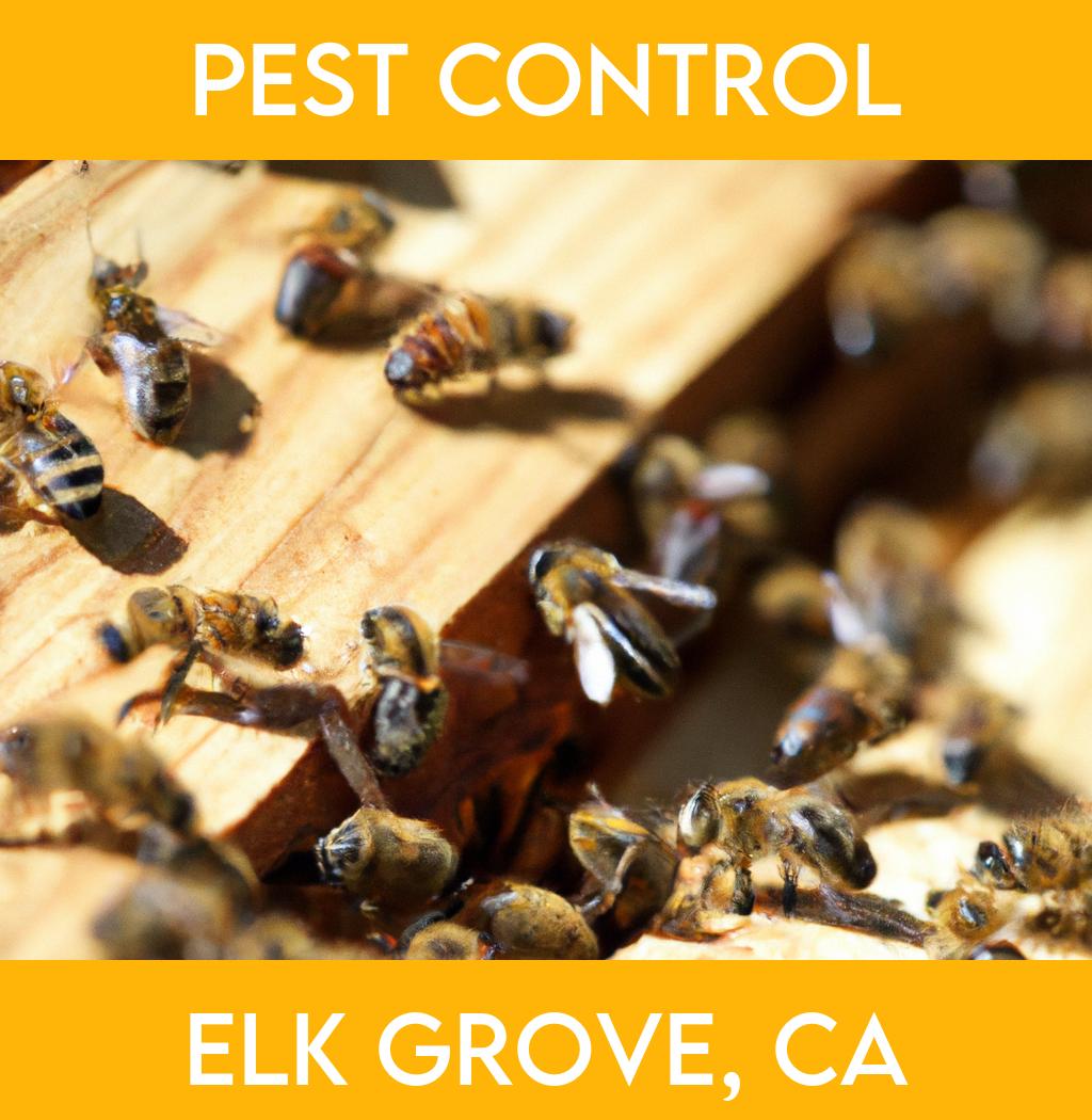 pest control in Elk Grove California
