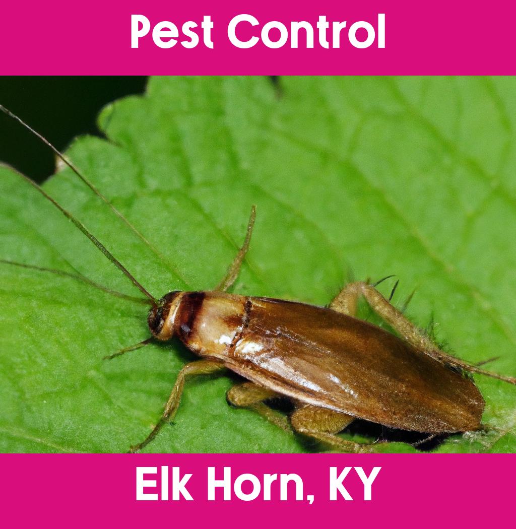 pest control in Elk Horn Kentucky