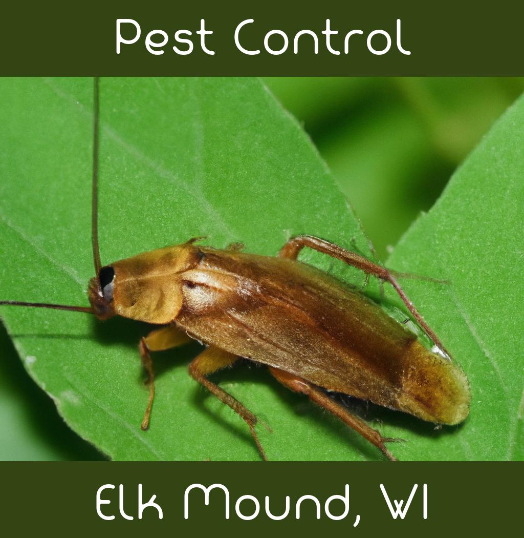 pest control in Elk Mound Wisconsin