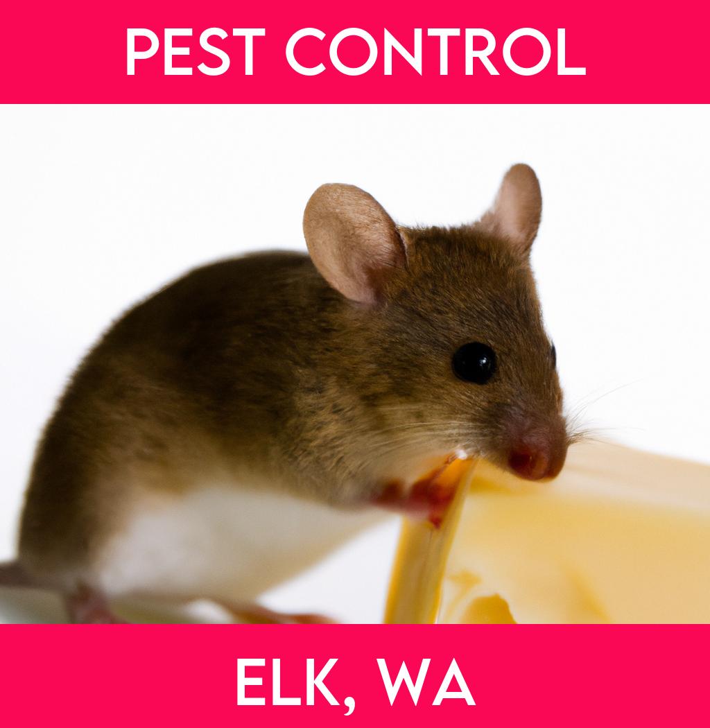pest control in Elk Washington