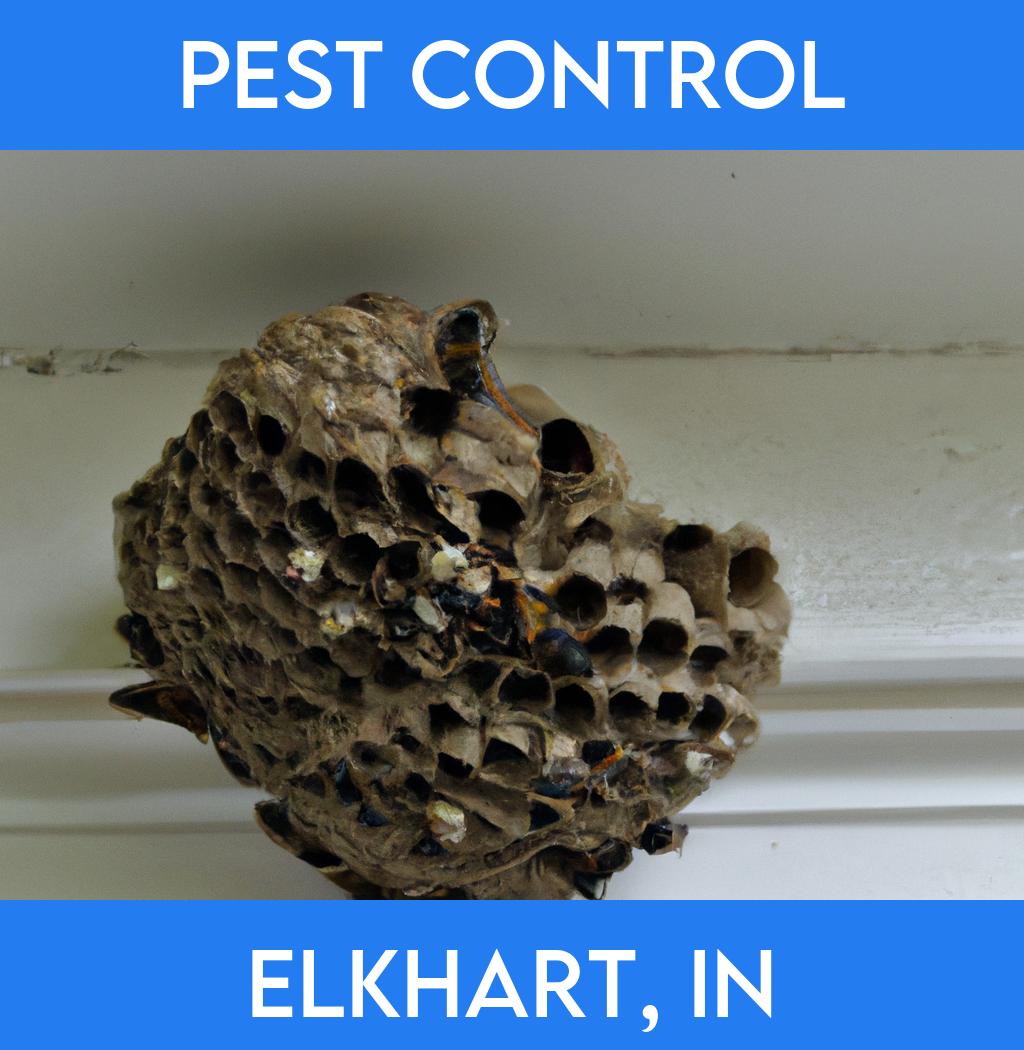 pest control in Elkhart Indiana