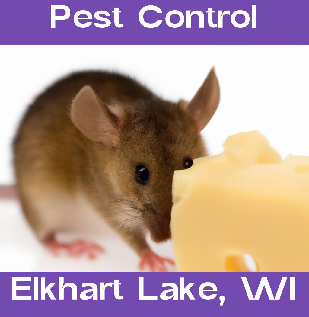 pest control in Elkhart Lake Wisconsin