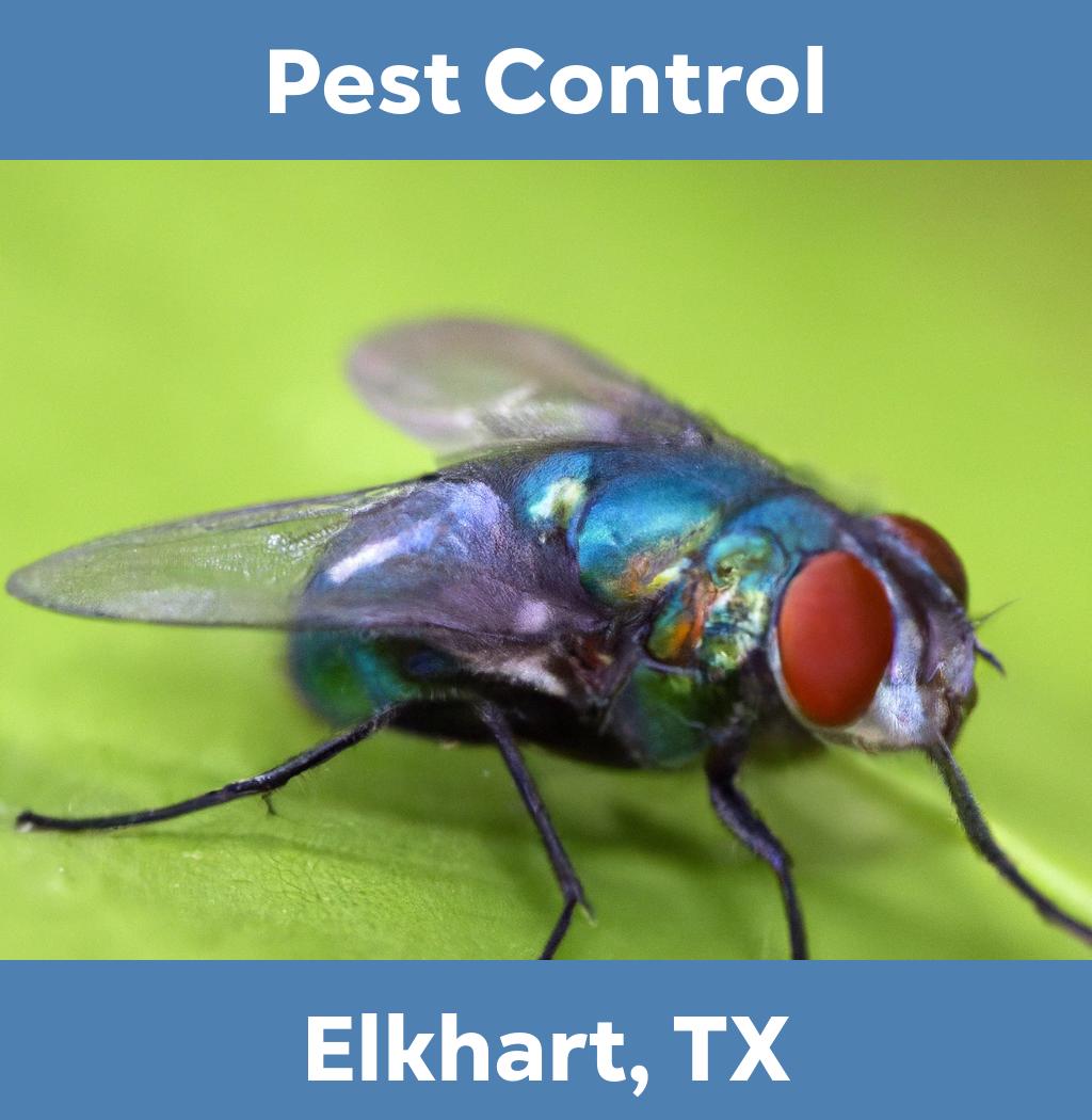 pest control in Elkhart Texas