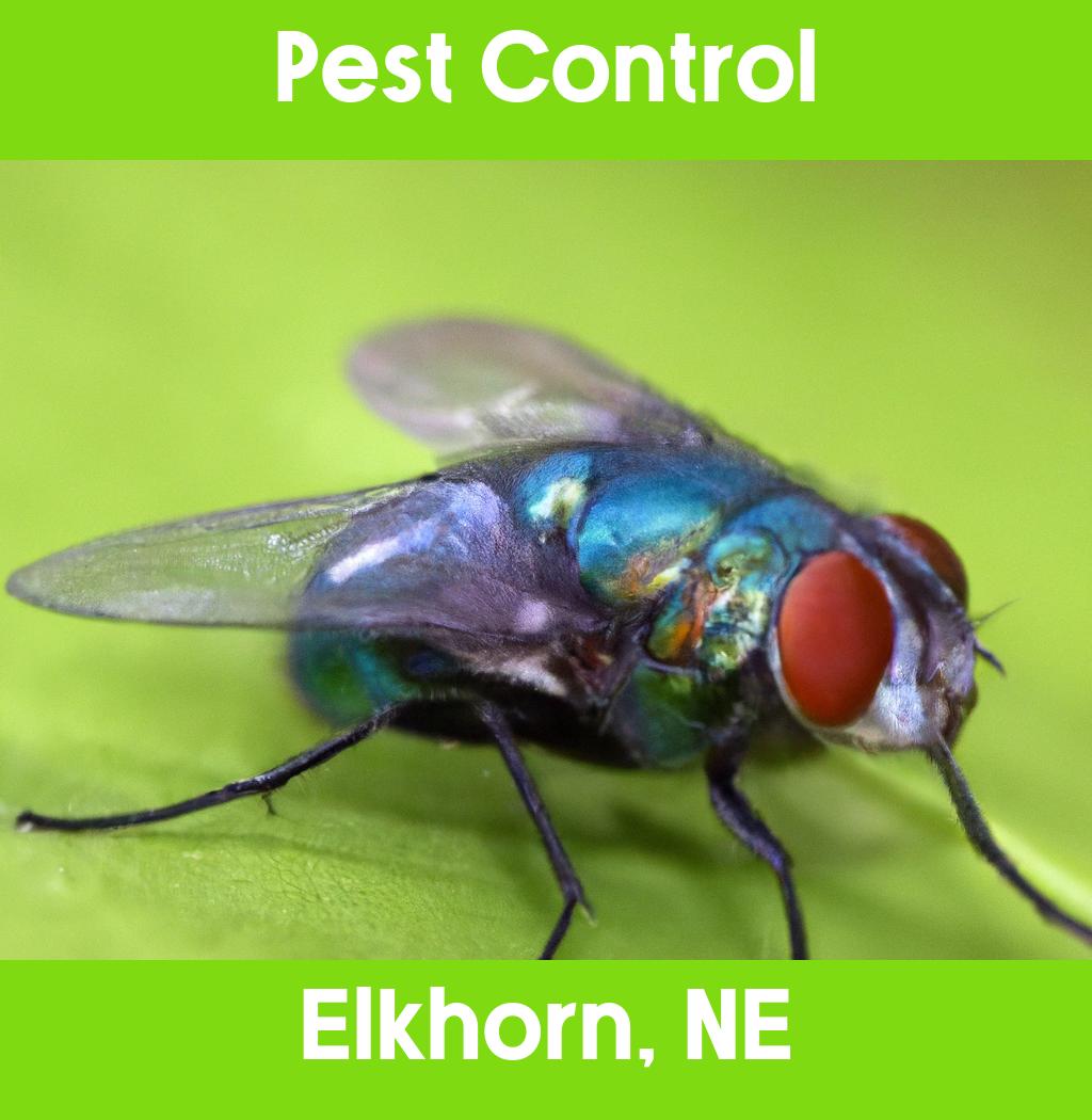 pest control in Elkhorn Nebraska