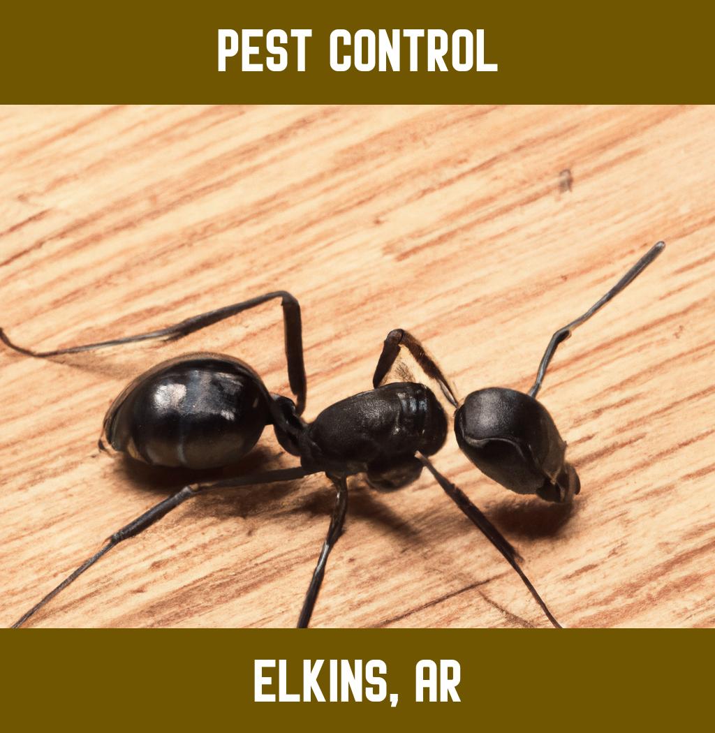 pest control in Elkins Arkansas