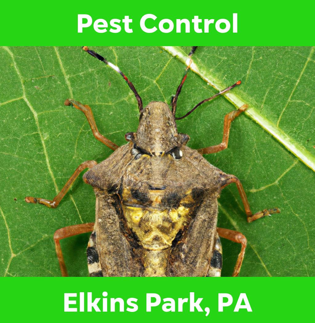 pest control in Elkins Park Pennsylvania