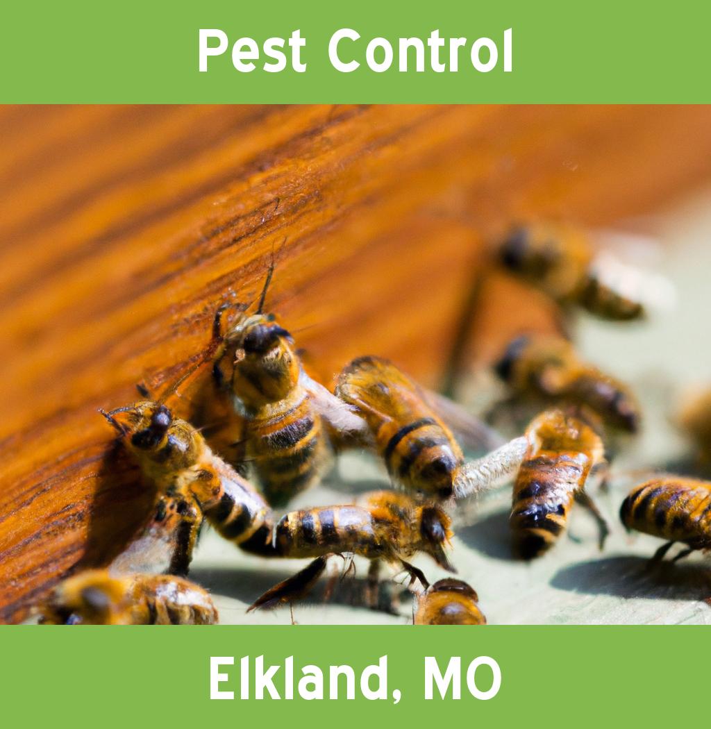pest control in Elkland Missouri