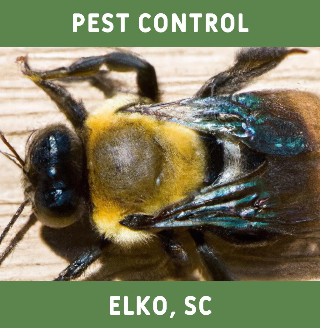 pest control in Elko South Carolina