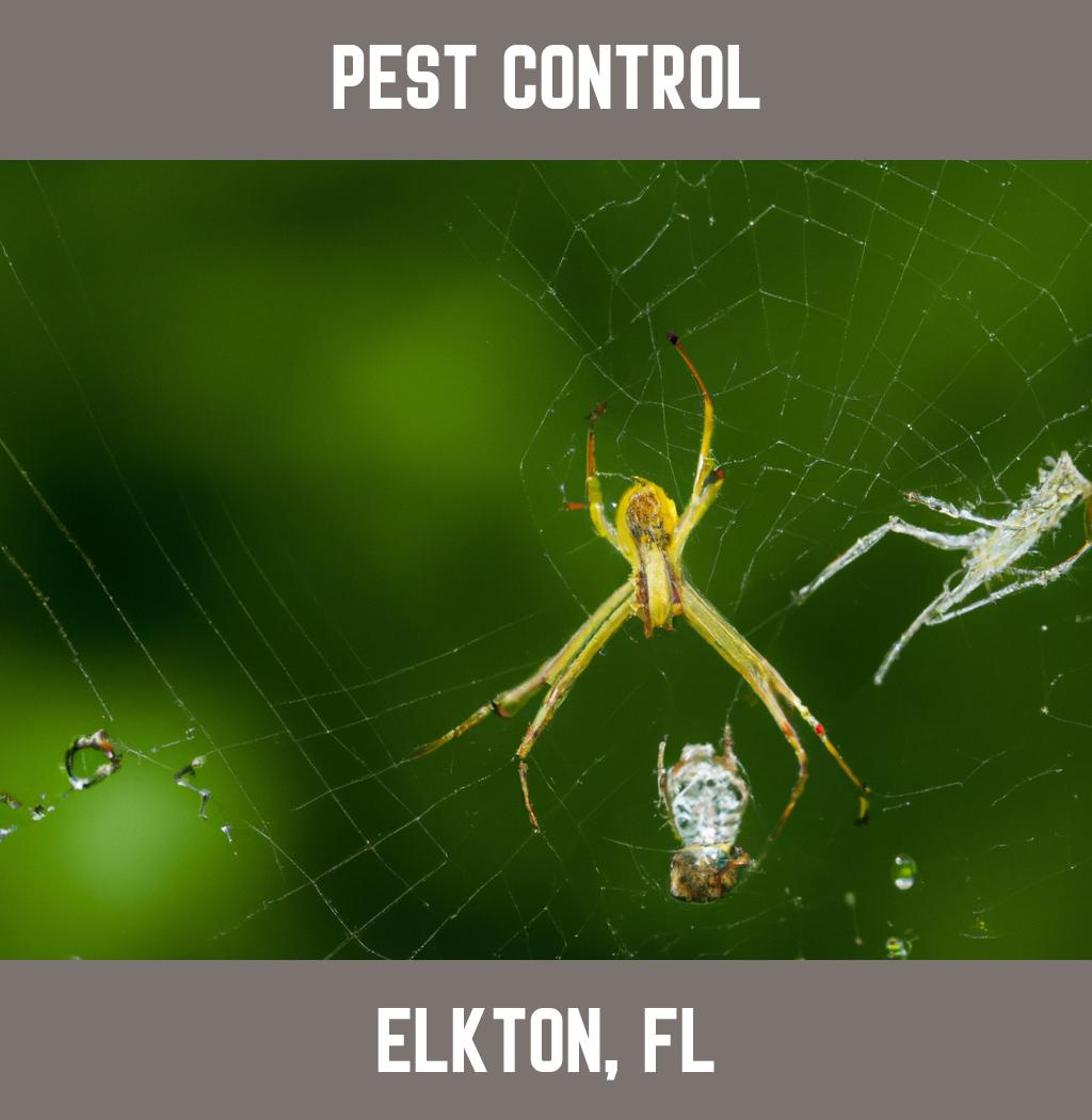 pest control in Elkton Florida