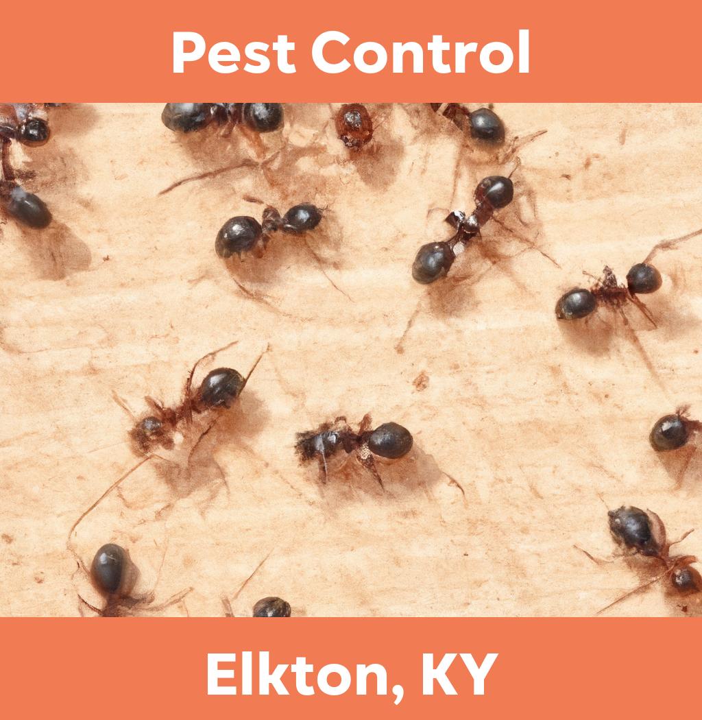 pest control in Elkton Kentucky