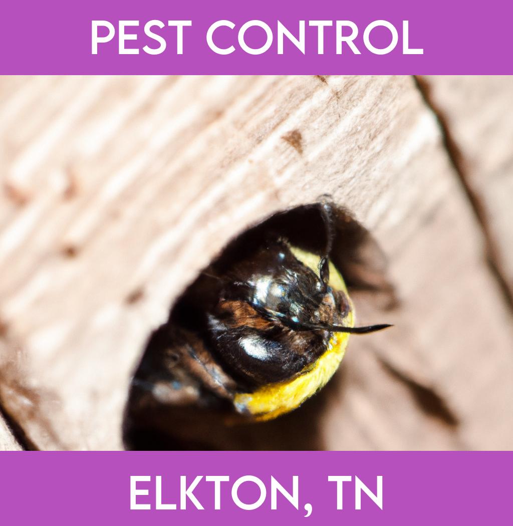 pest control in Elkton Tennessee
