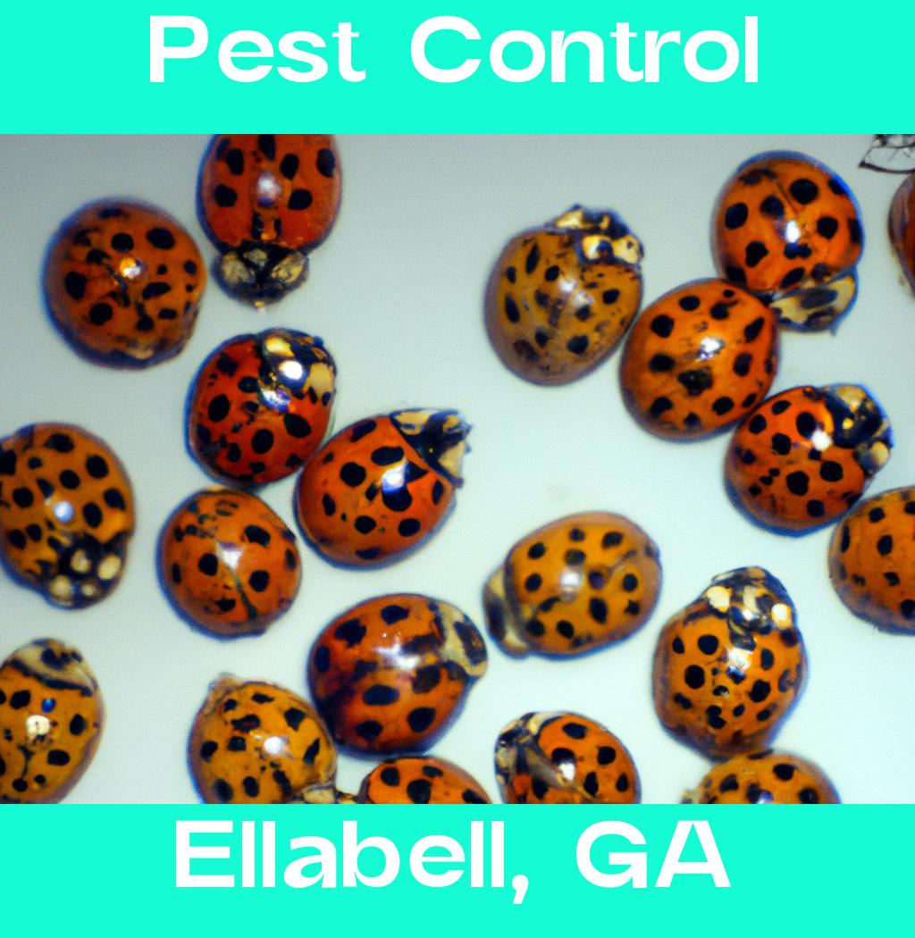 pest control in Ellabell Georgia