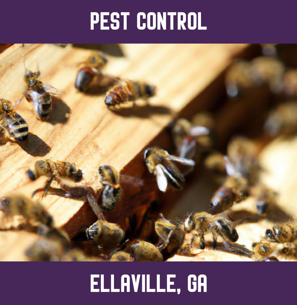 pest control in Ellaville Georgia