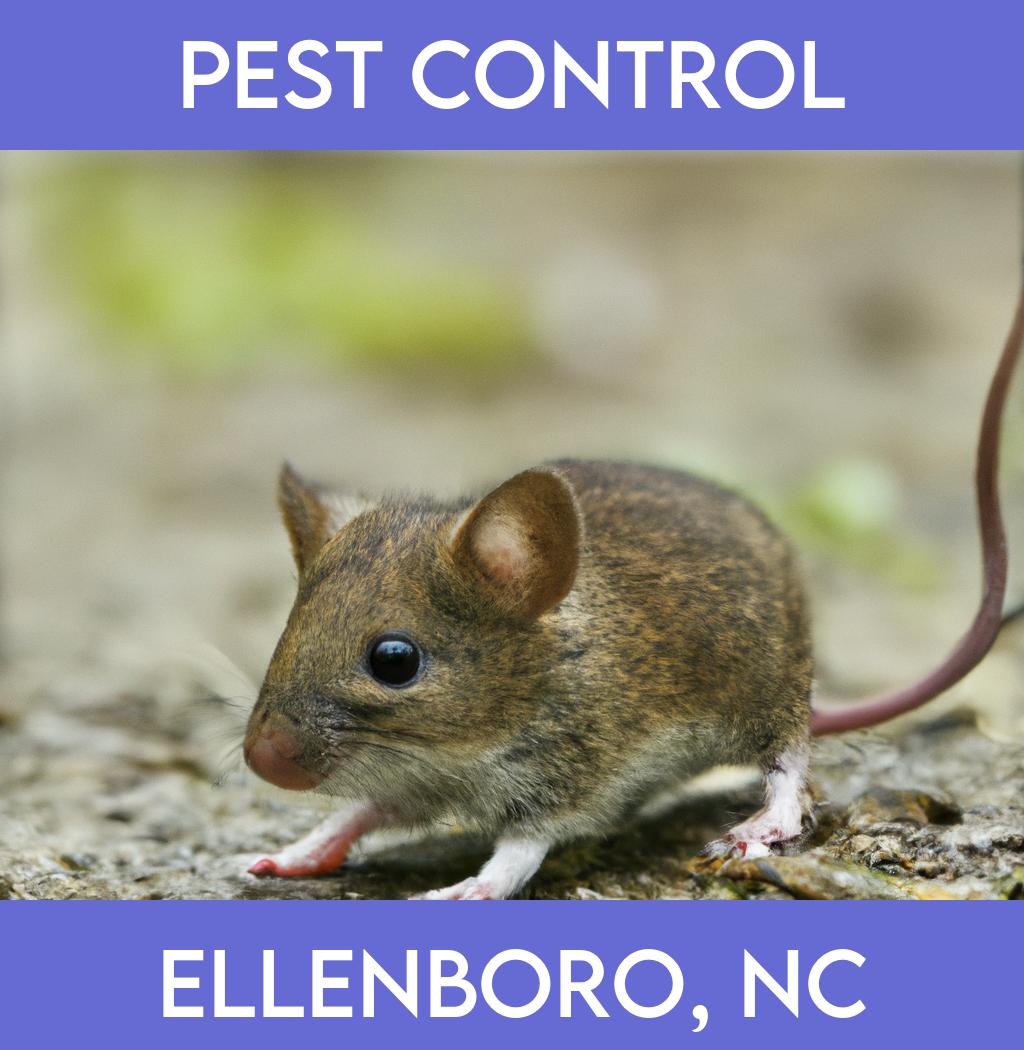 pest control in Ellenboro North Carolina