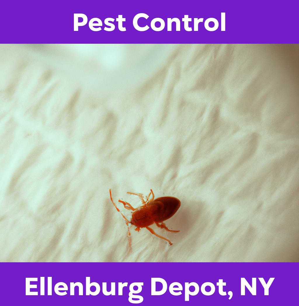 pest control in Ellenburg Depot New York