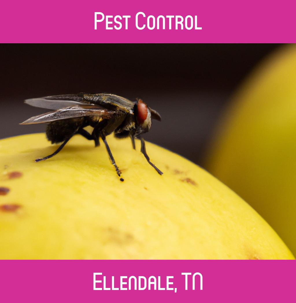 pest control in Ellendale Tennessee