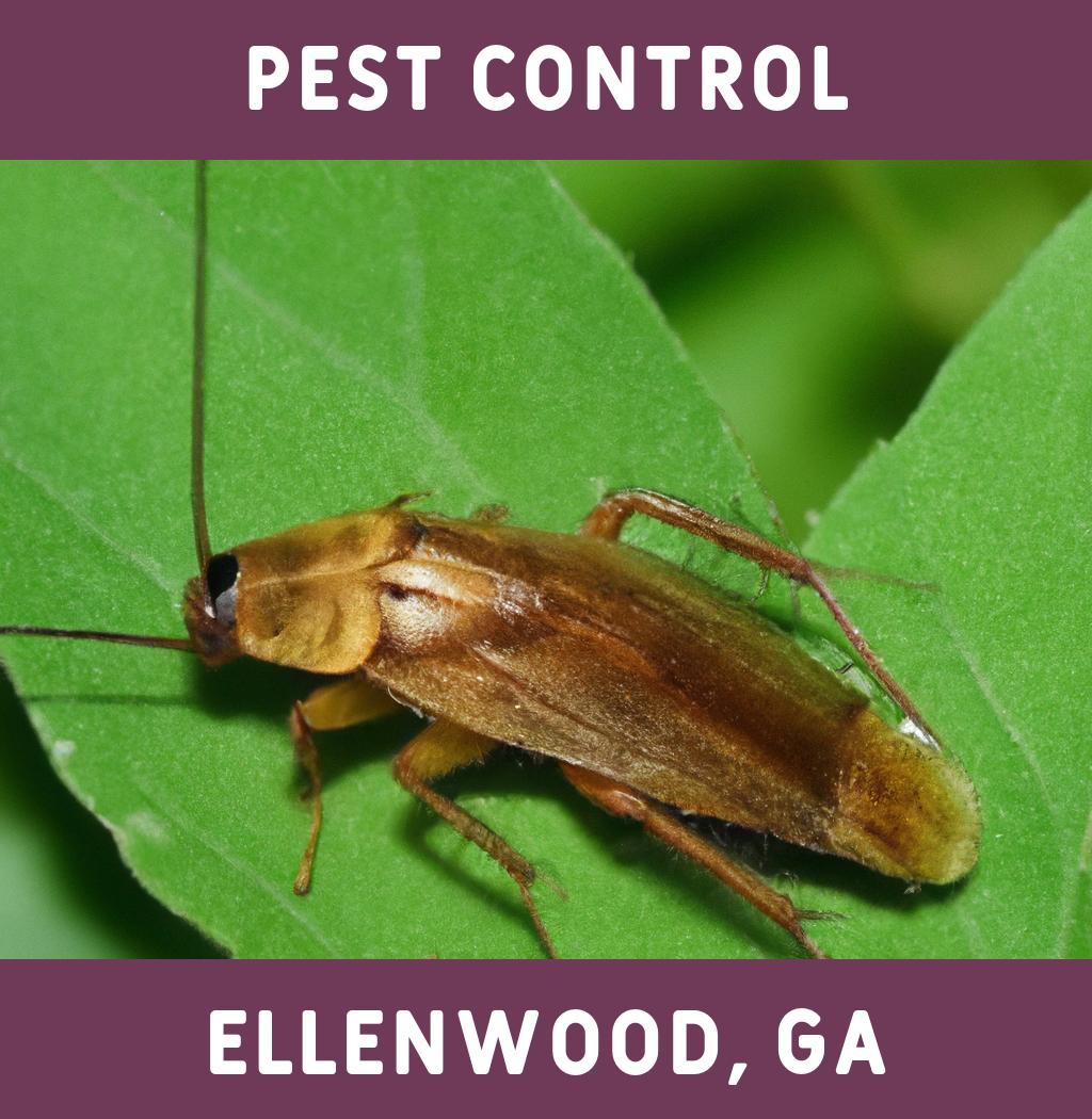 pest control in Ellenwood Georgia