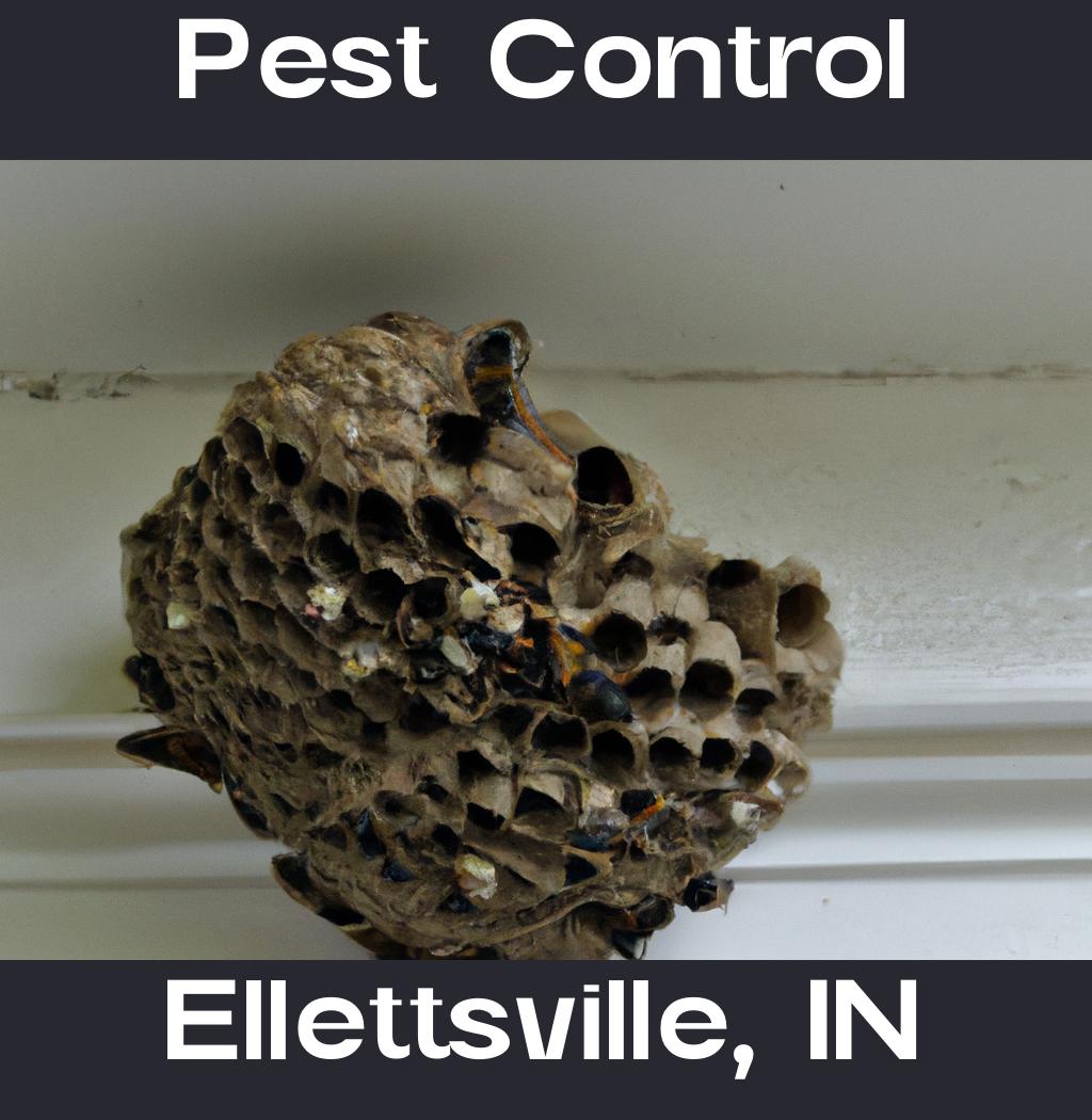 pest control in Ellettsville Indiana