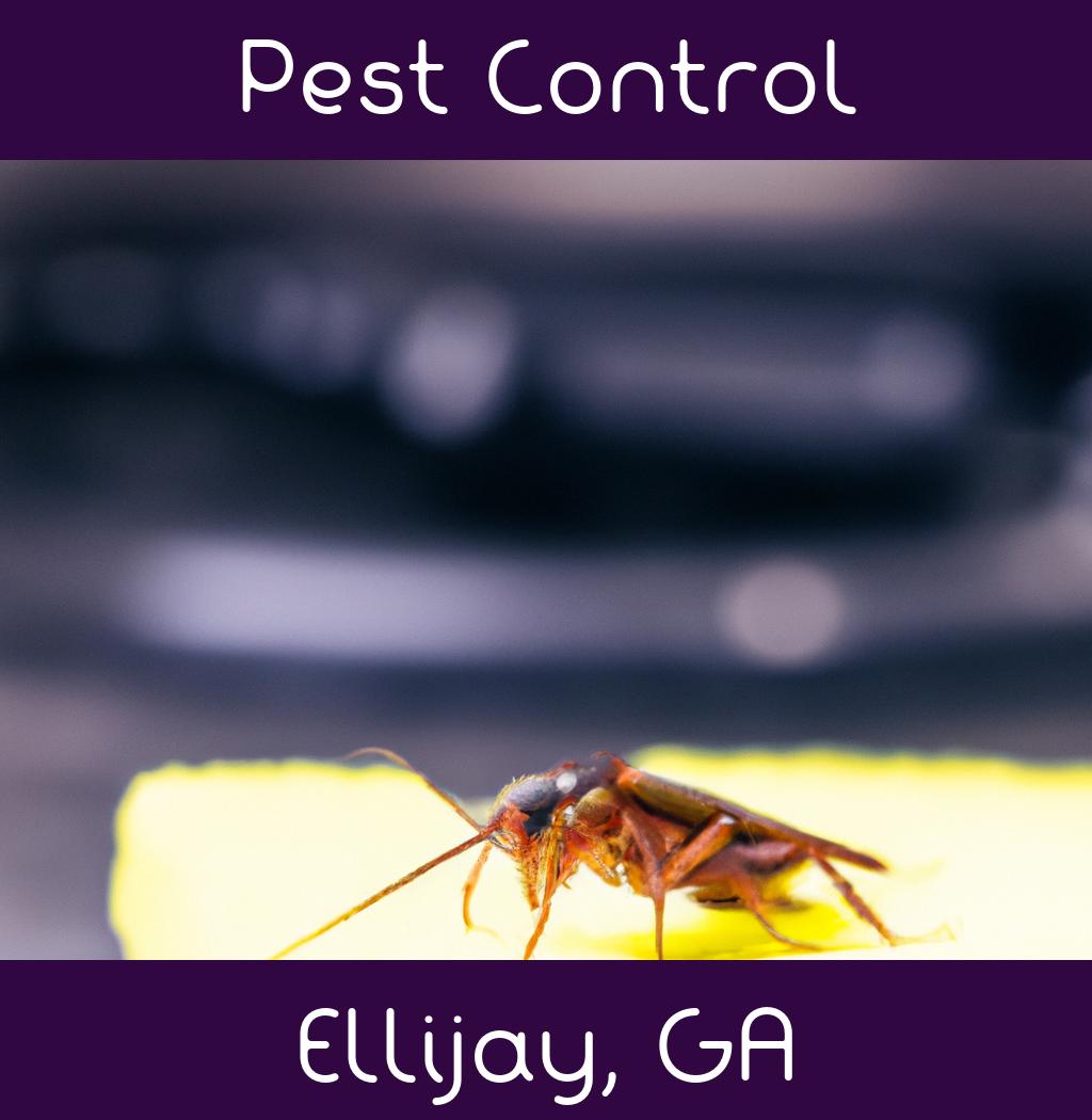pest control in Ellijay Georgia