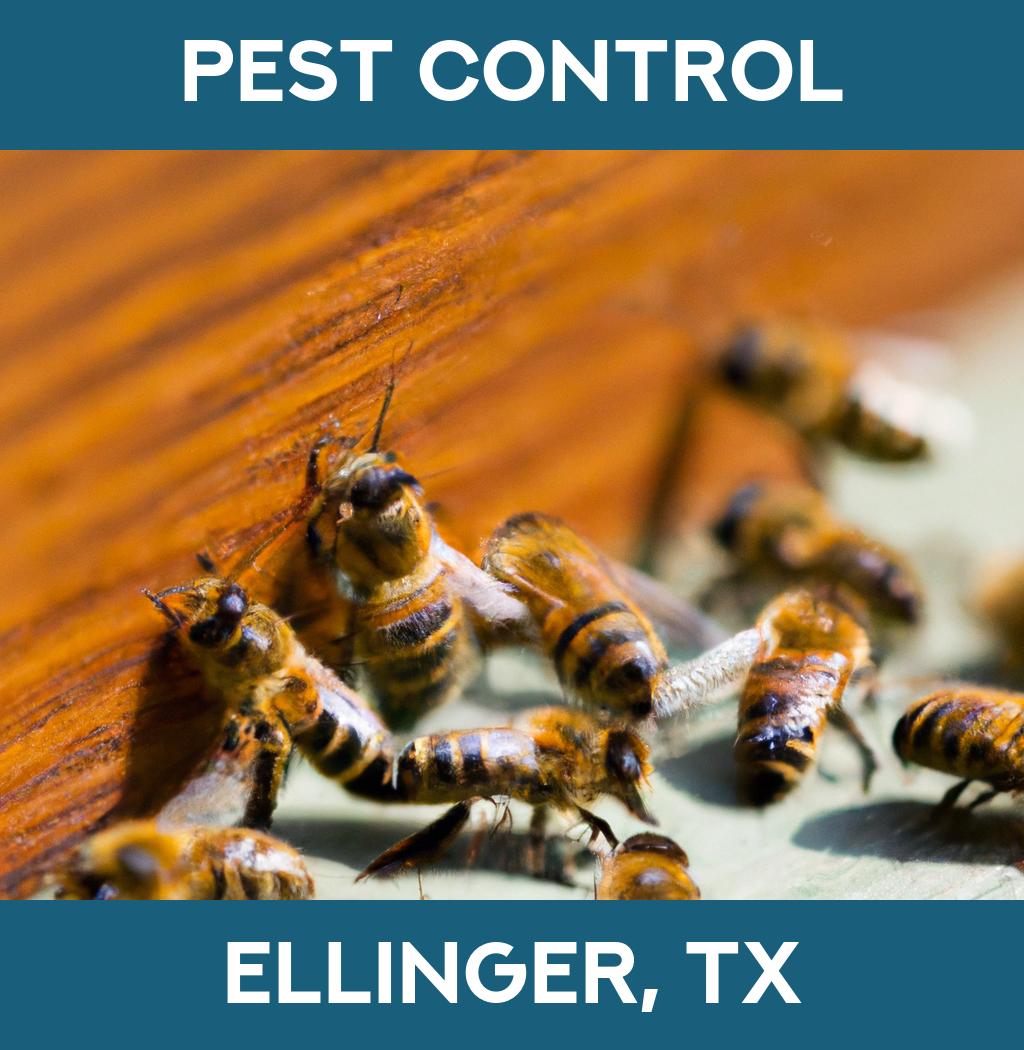 pest control in Ellinger Texas