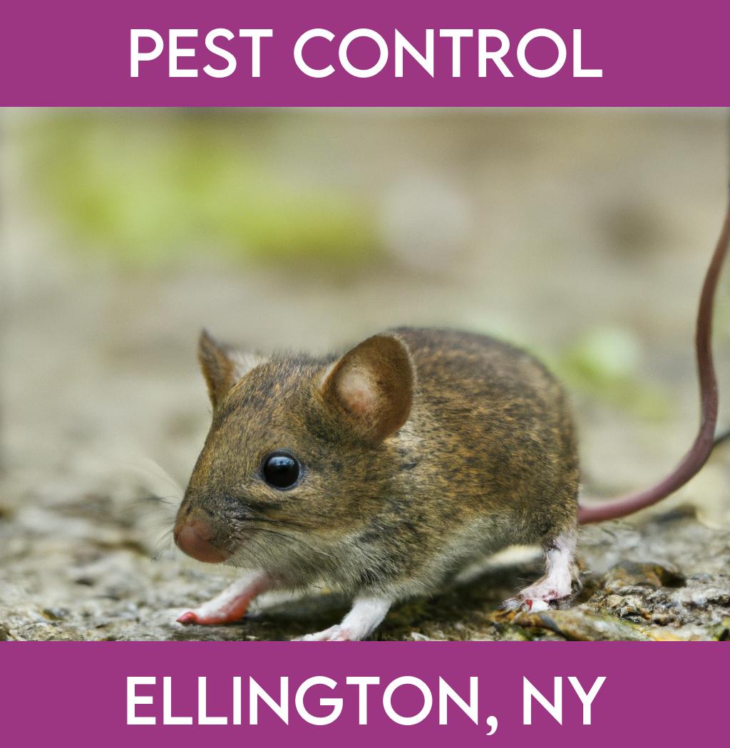 pest control in Ellington New York