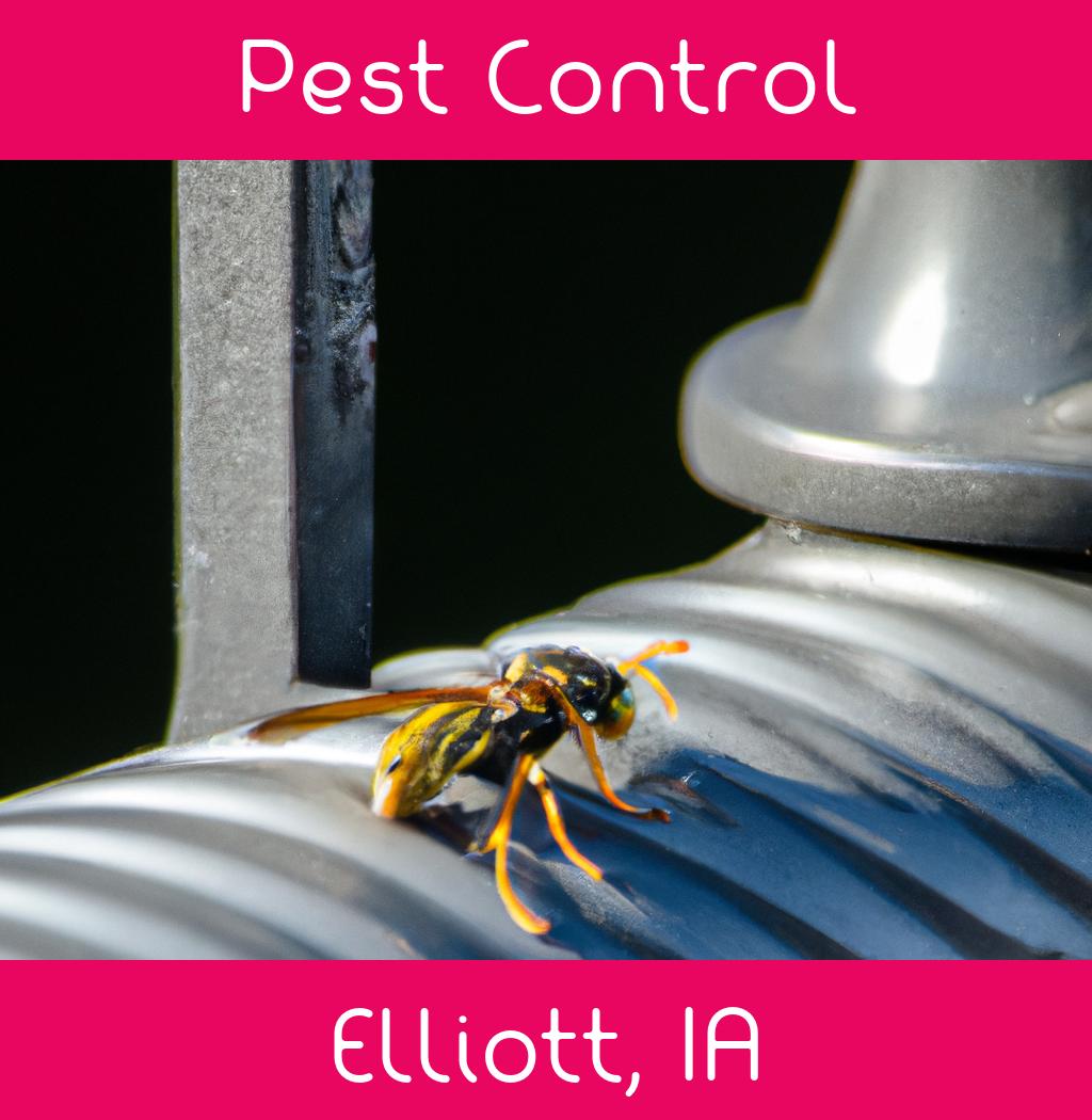 pest control in Elliott Iowa