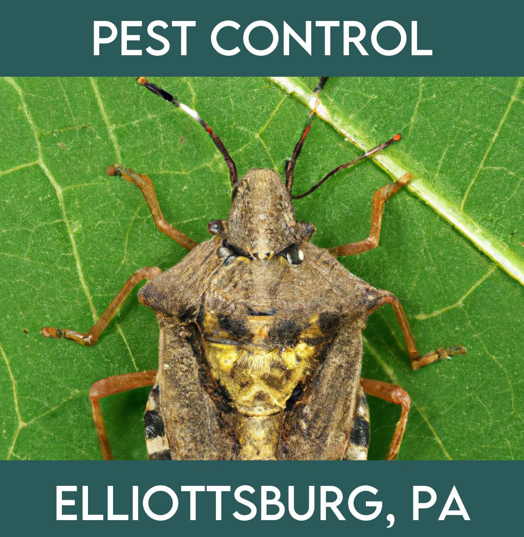pest control in Elliottsburg Pennsylvania