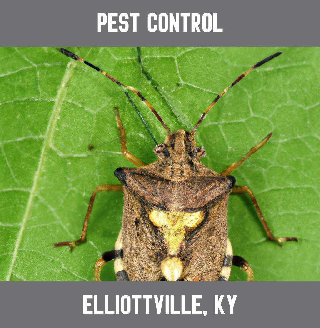 pest control in Elliottville Kentucky