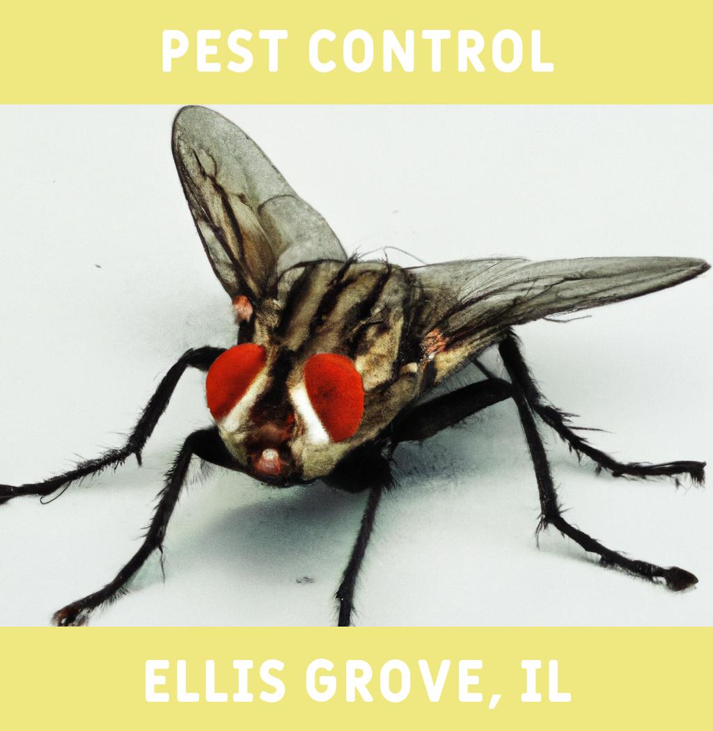 pest control in Ellis Grove Illinois
