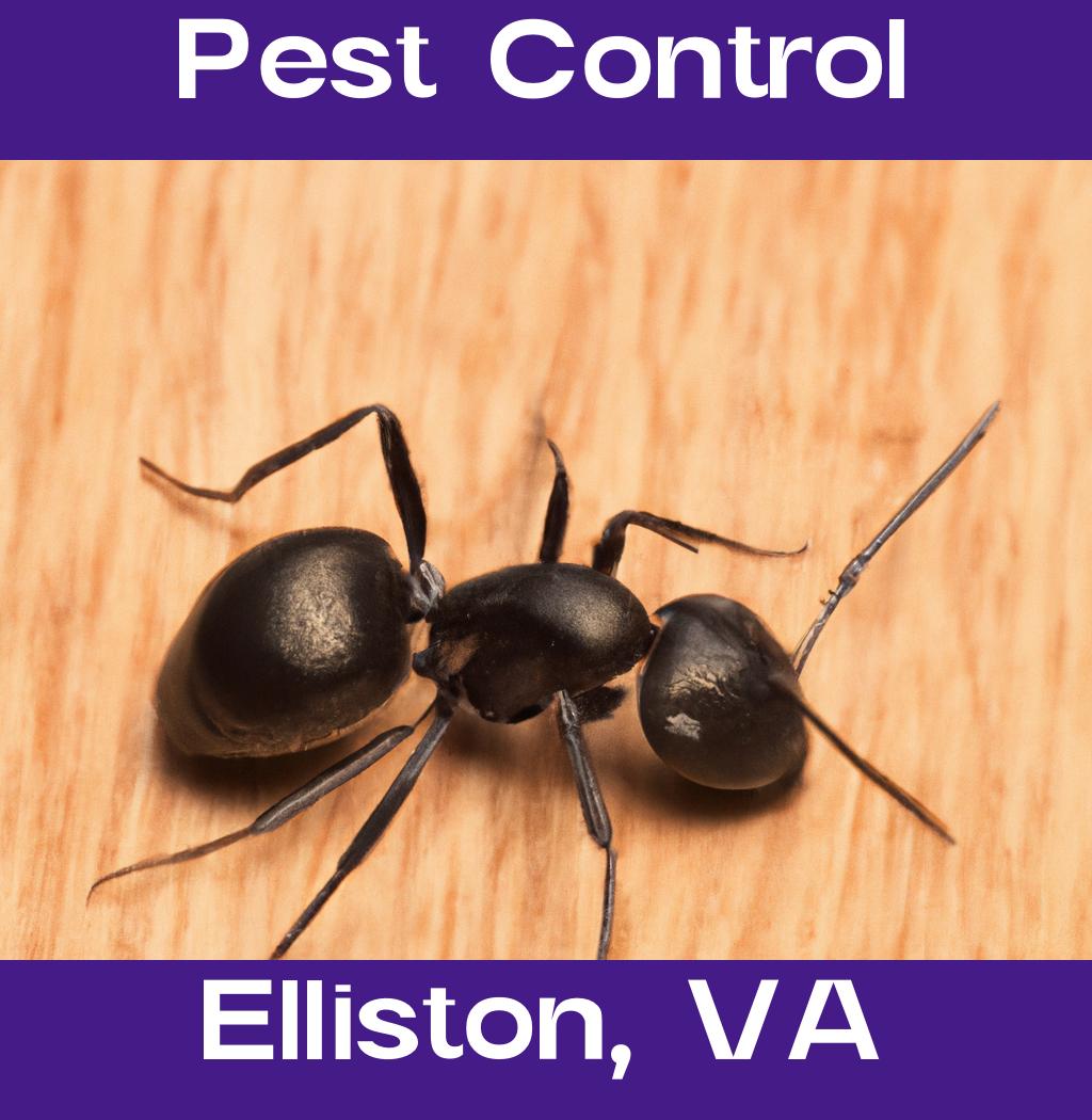 pest control in Elliston Virginia
